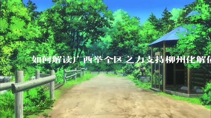 如何解读广西举全区之力支持柳州化解债务？