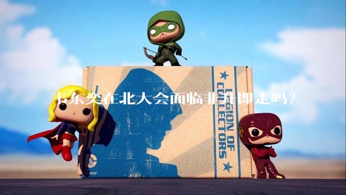 韦东奕在北大会面临非升即走吗？