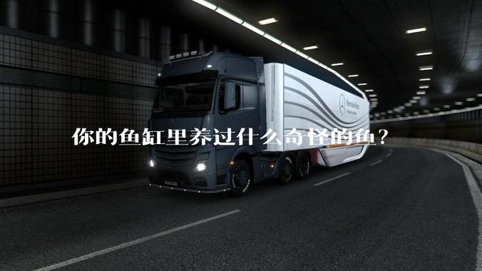 你的鱼缸里养过什么奇怪的鱼？
